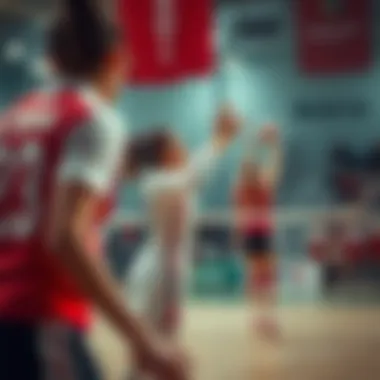 Historical Moment in Belarus Volleyball Historical moment in Belarus volleyball