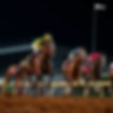 Statistical Analysis of Race Performance in the Kentucky Derby Statistical analysis of race performance