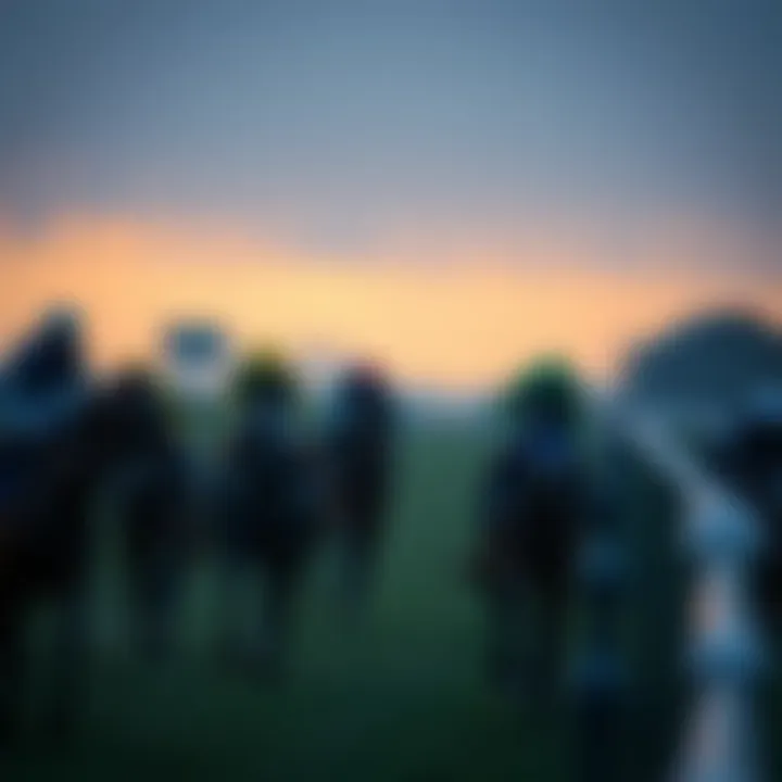 Analysis of race day conditions