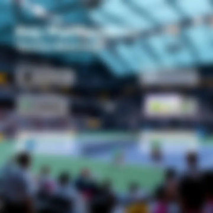 Graphical representation of major streaming platforms for tennis